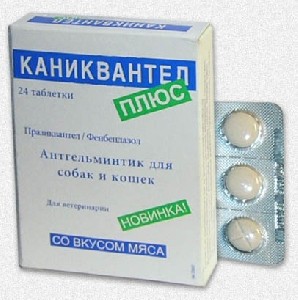 Каниквантел +, антигельминтик для кошек и собак, 24 таблеток (1)